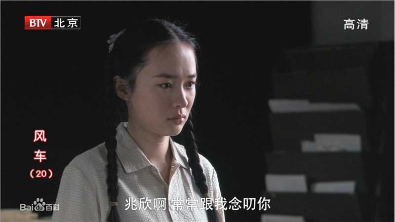 最全霍思燕(Huo Siyan)在《风车》饰演女主角舒兆欣中的相册