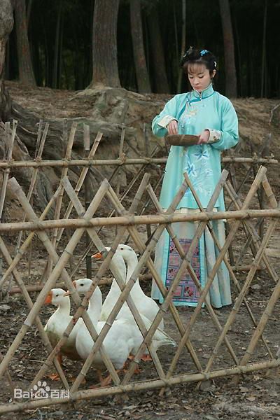 霍思燕(Huo Siyan)在《玫瑰江湖》饰演女一号君绮罗中的