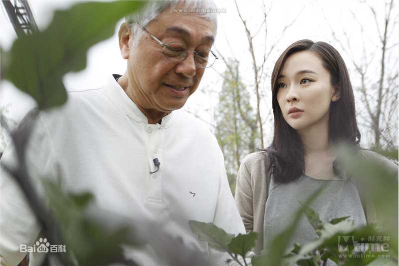 霍思燕(Huo Siyan)在《饮食男女2》饰演女一号瓦儿中的