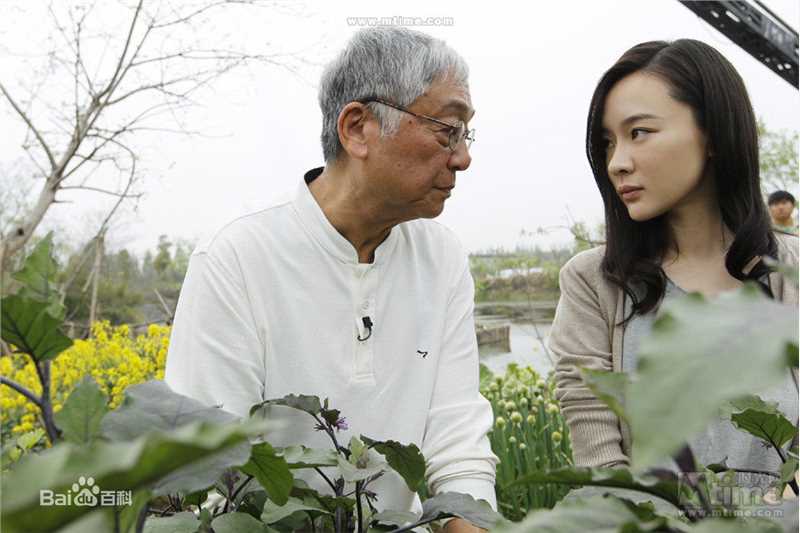 霍思燕(Huo Siyan)在《饮食男女2》饰演女一号瓦儿中的