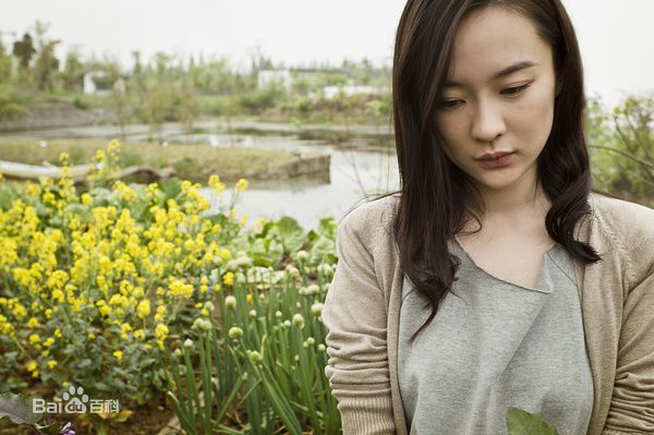 霍思燕(Huo Siyan)在《饮食男女2》饰演女一号瓦儿中的