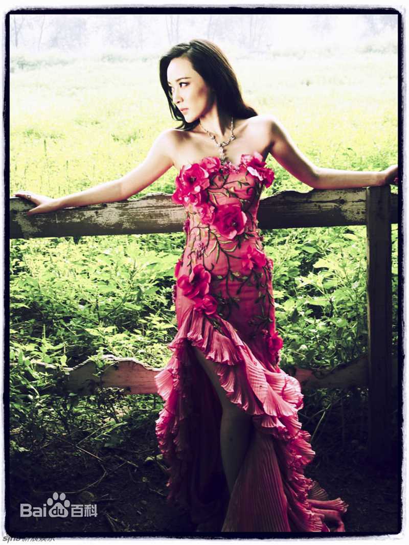 霍思燕(Huo Siyan)精彩图册