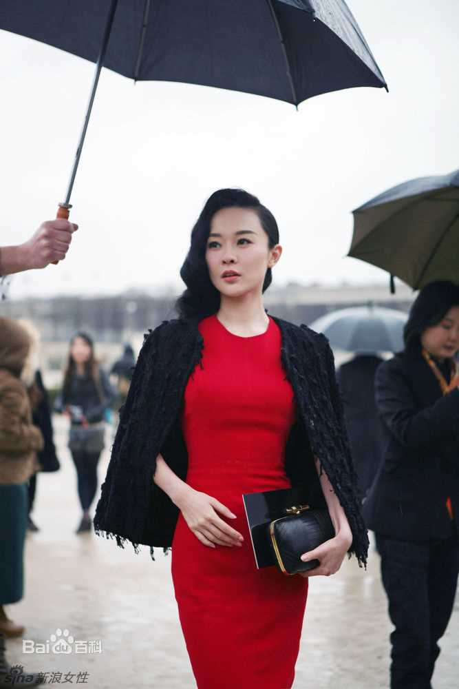 霍思燕(Huo Siyan)精彩图册