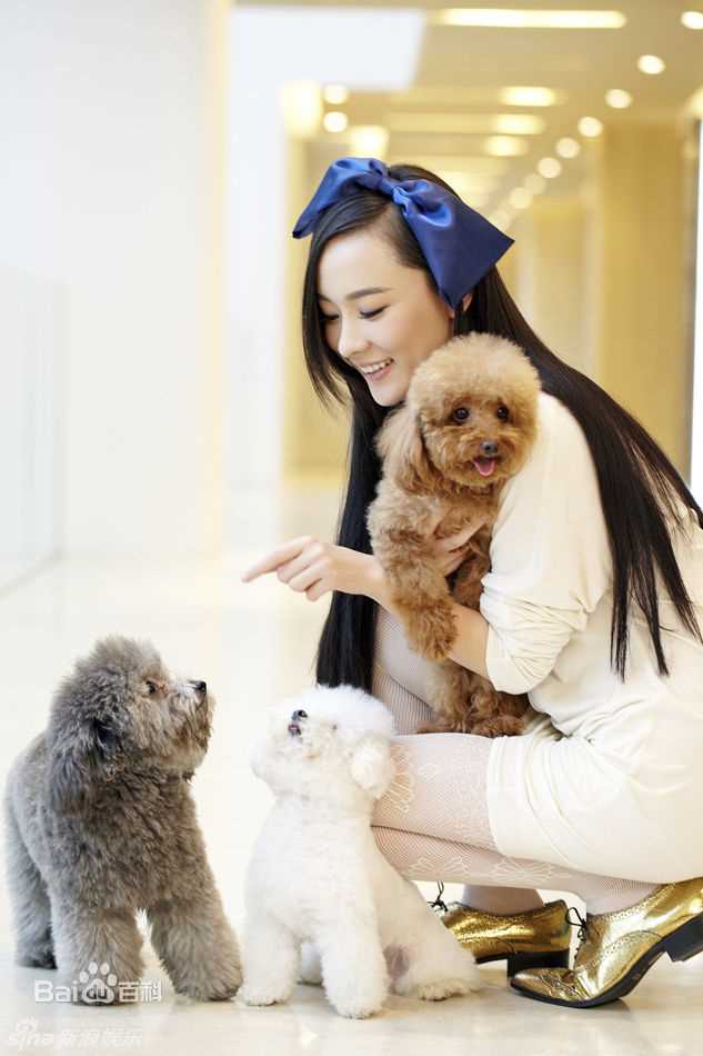 最全霍思燕(Huo Siyan)精彩图册