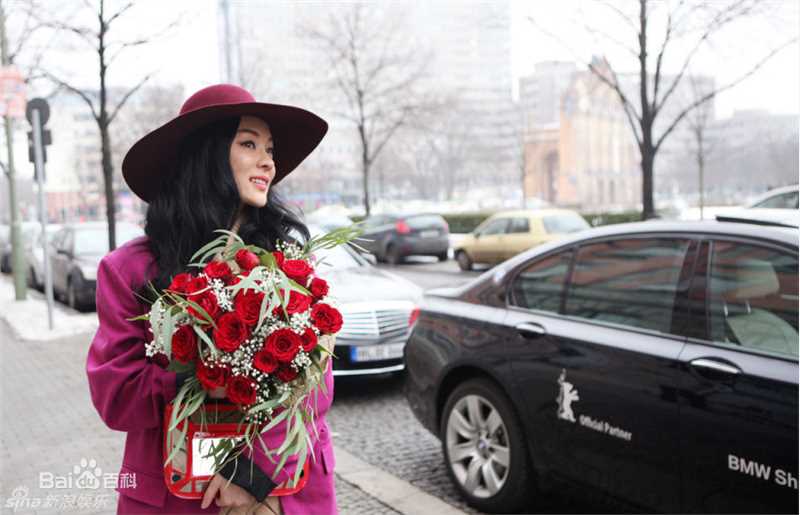 最全霍思燕(Huo Siyan)精彩图册