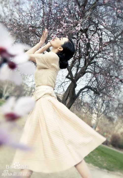 最全霍思燕(Huo Siyan)精彩图册