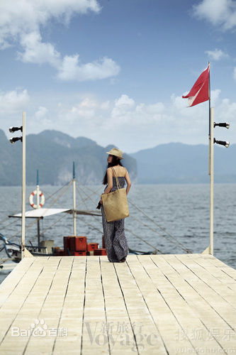 最全霍思燕(Huo Siyan)精彩图册