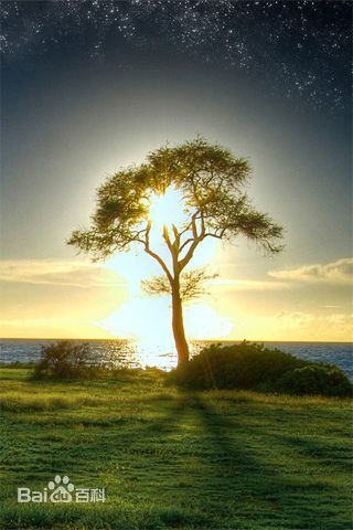 高清王时雨性感图片