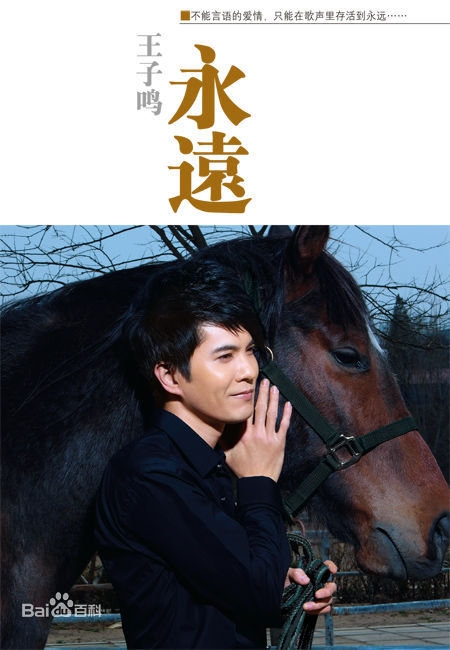 最全王子鸣壁纸