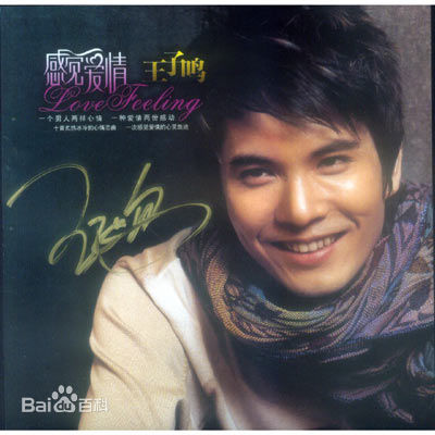 最全王子鸣壁纸