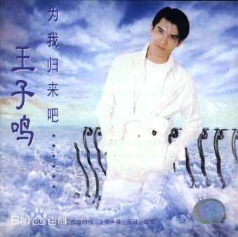 最全王子鸣壁纸