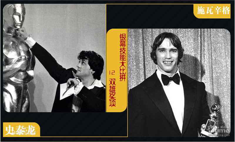 西尔维斯特·史泰龙(Sylvester Stallone)史泰龙与奥斯卡及其他奖壁纸壁纸