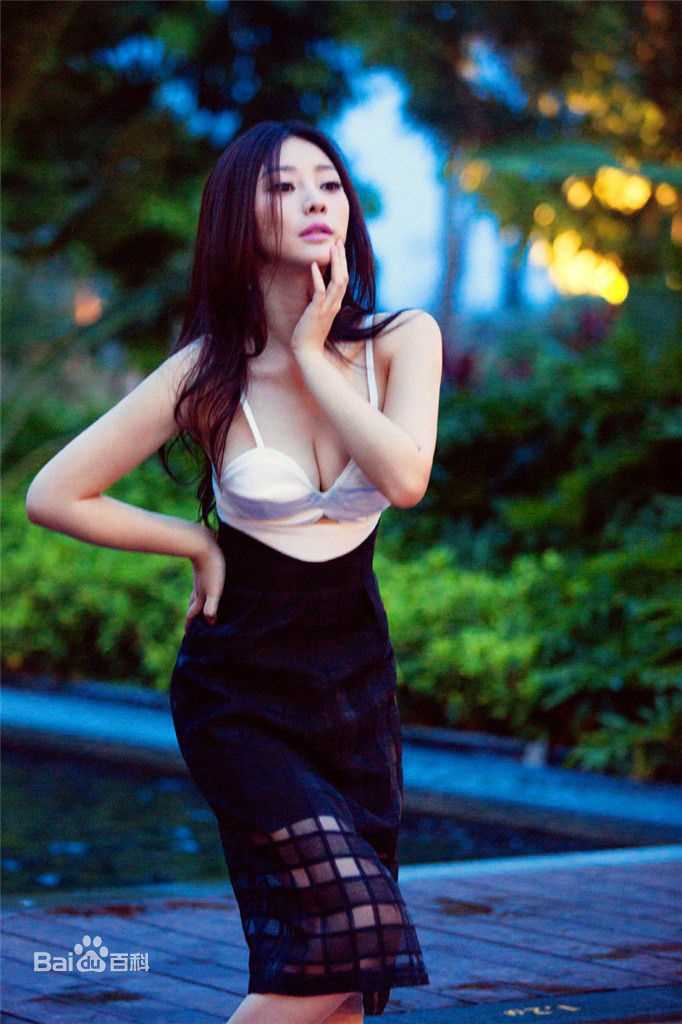 柳岩(Ada)最全2013图册壁纸