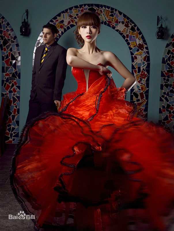 柳岩(Ada)最全2012壁纸