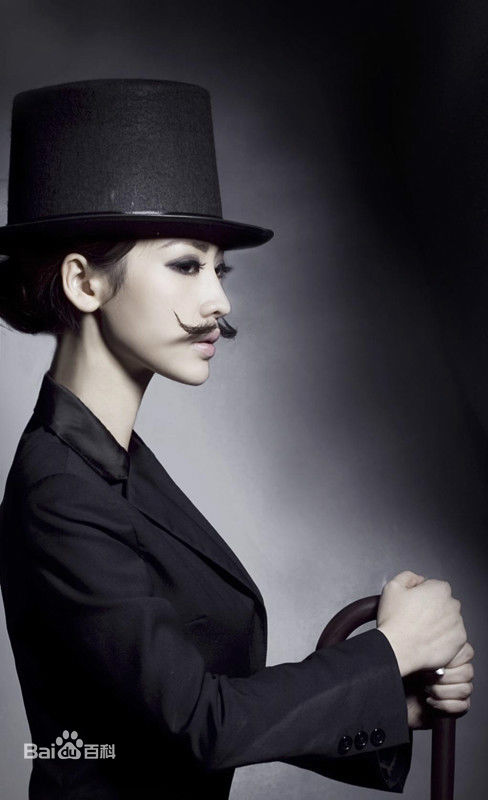 柳岩(Ada)最全2012壁纸