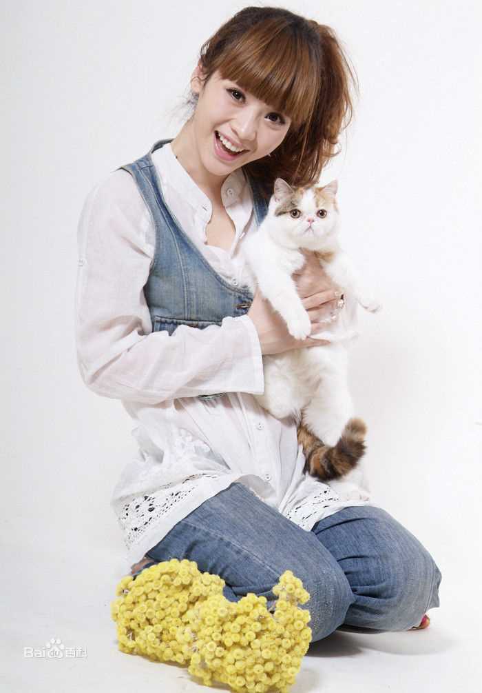 柳岩(Ada)纯色背景图片图册生活照