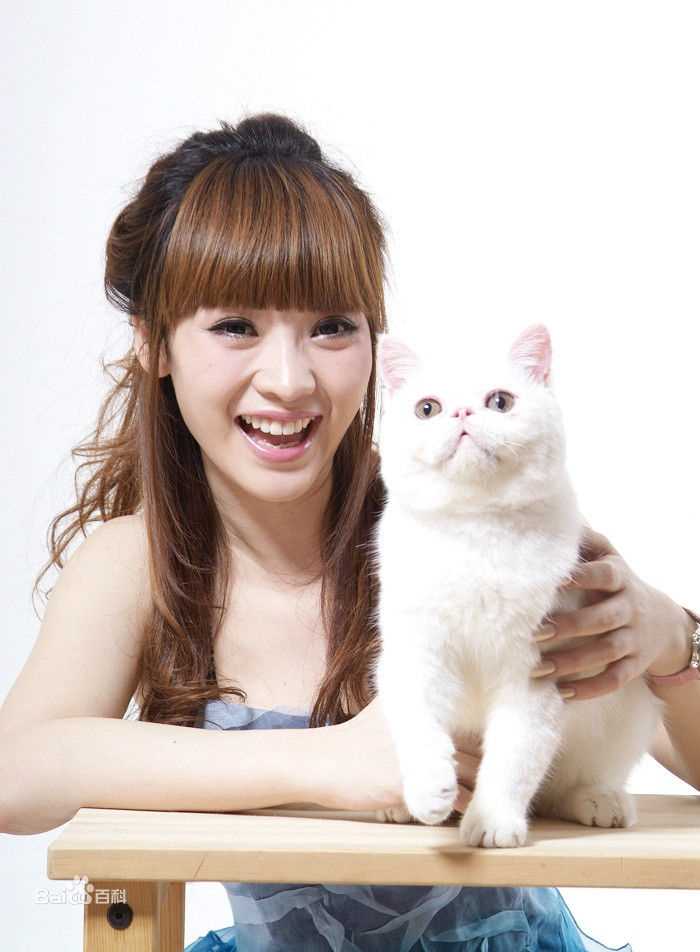 柳岩(Ada)纯色背景图片图册生活照