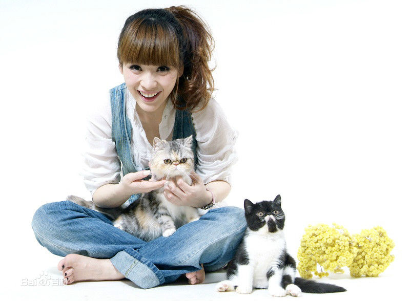 柳岩(Ada)纯色背景图片图册生活照