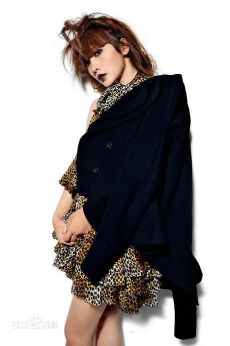 柳岩(Ada)2010年图册