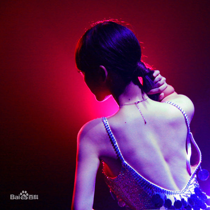 柳岩(Ada)2010年图册