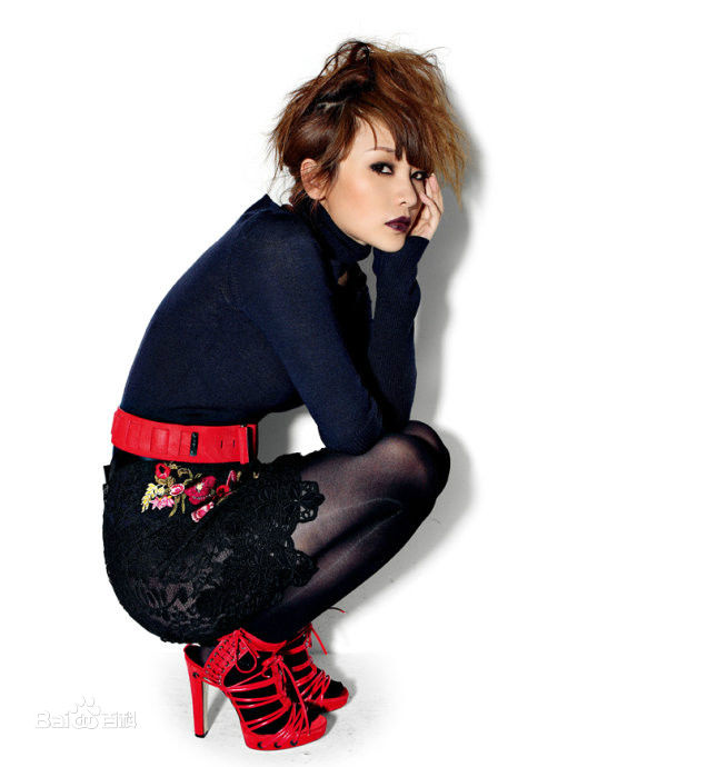 柳岩(Ada)2010年图册