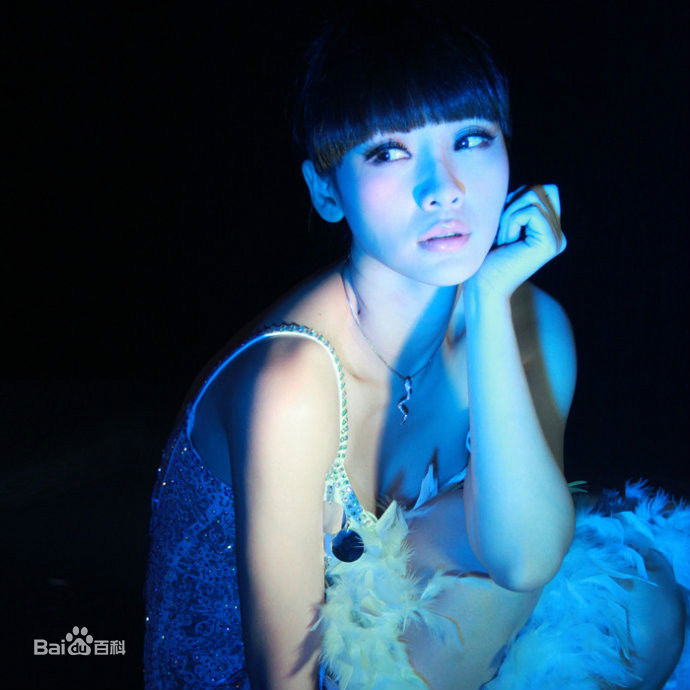 柳岩(Ada)2010年图册