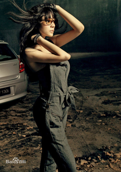 柳岩(Ada)2010年图册