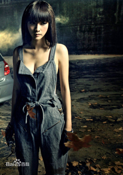 柳岩(Ada)2010年图册