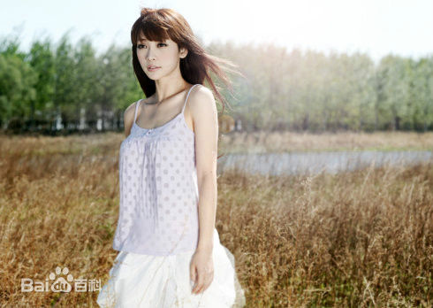 柳岩(Ada)精选2009图册图册