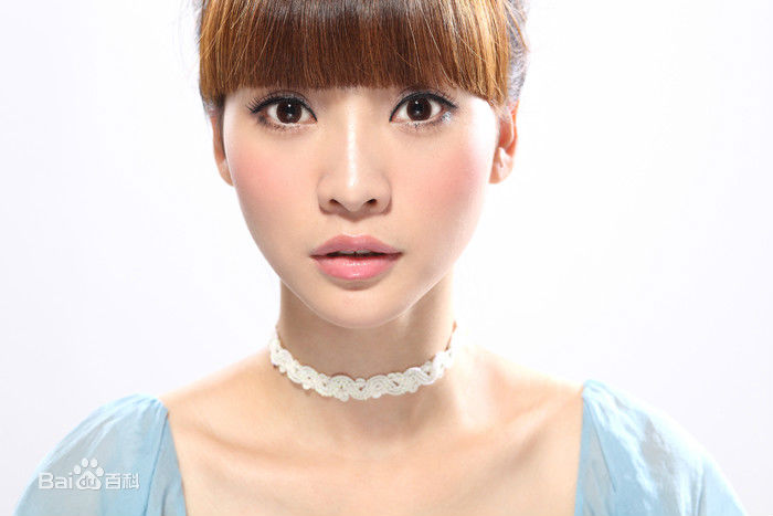 柳岩(Ada)精选2009图册图册