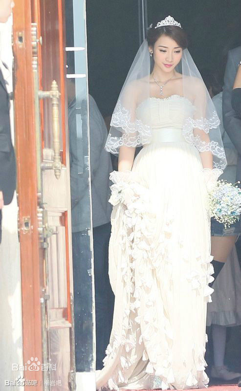 柳岩(Ada)参演电视剧相关图册素颜照相册