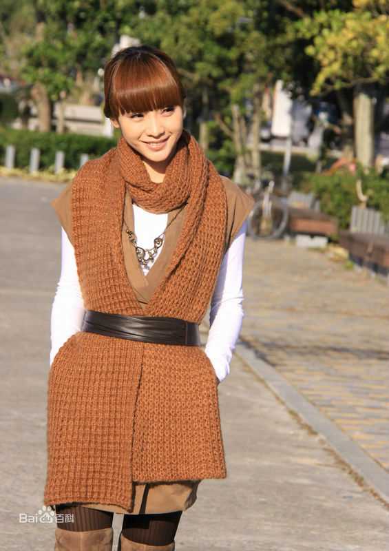 柳岩(Ada)参演电视剧相关图册素颜照相册