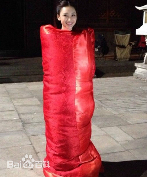 柳岩(Ada)参演电视剧相关图册素颜照相册