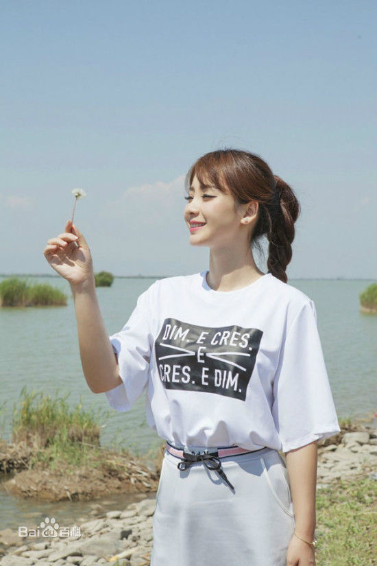 柳岩(Ada)2014活动照图册前后照片