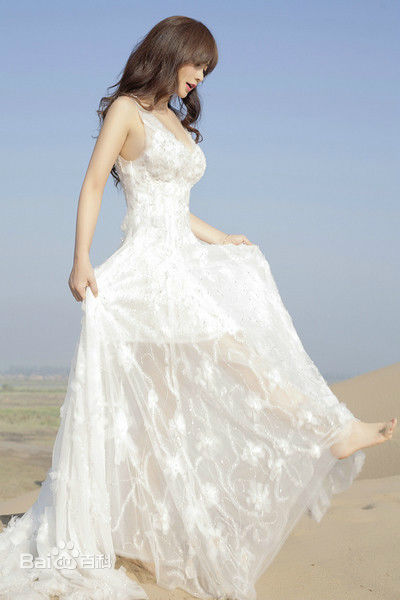 柳岩(Ada)2014活动照图册前后照片