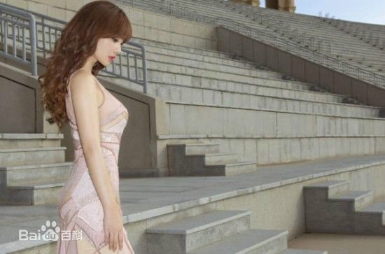 柳岩(Ada)2014活动照图册前后照片