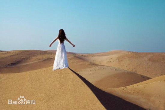 柳岩(Ada)2014活动照图册前后照片