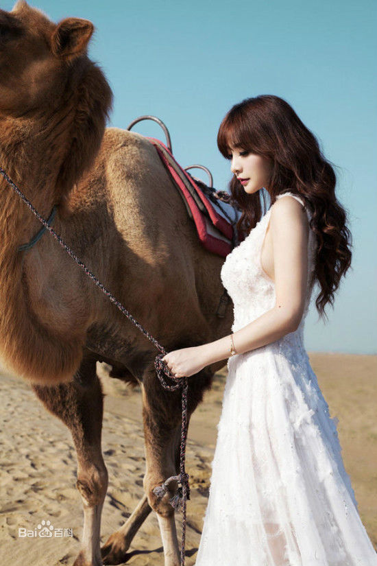 柳岩(Ada)2014活动照图册前后照片