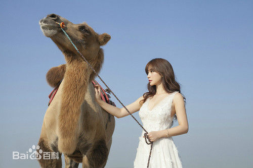 柳岩(Ada)2014活动照图册前后照片