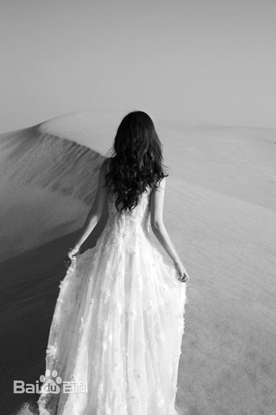 柳岩(Ada)2014活动照图册前后照片