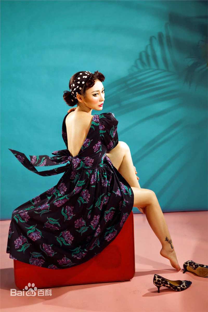 柳岩(Ada)最优质2015图册相册