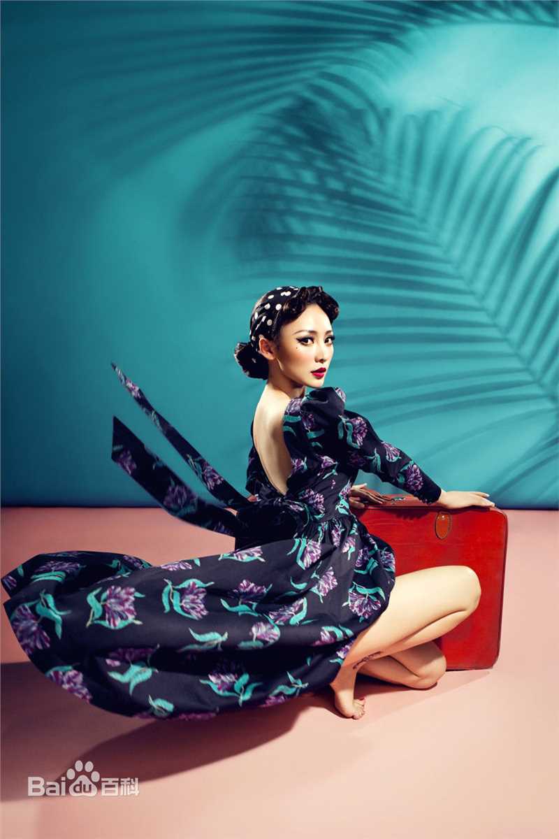 柳岩(Ada)最优质2015图册相册