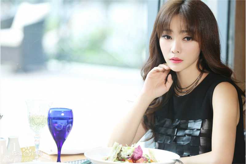 柳岩(Ada)最优质2015图册相册