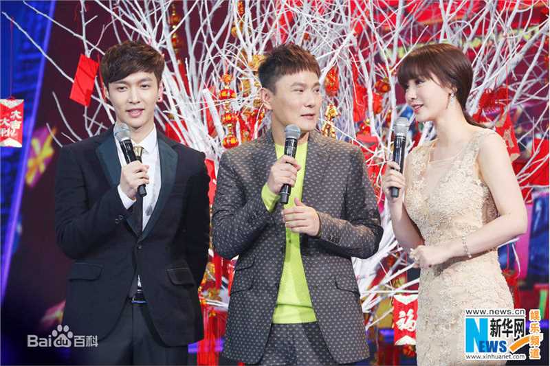 柳岩(Ada)主持/参加综艺图册图片图集