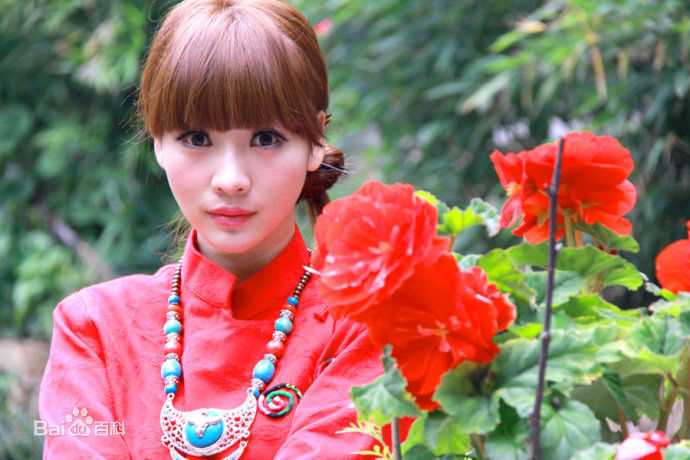 柳岩(Ada)的个人图册图册