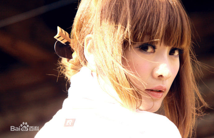 柳岩(Ada)的个人图册图册