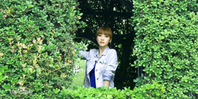 柳岩(Ada)的个人图册图册