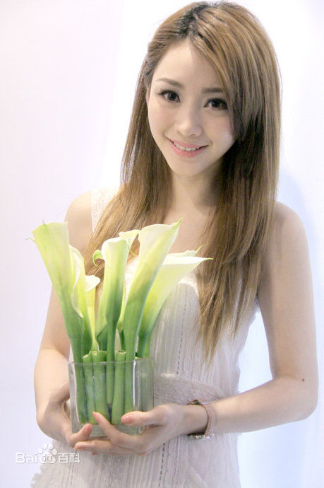 柳岩(Ada)的个人图册图册