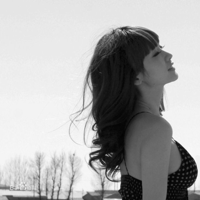 柳岩(Ada)的个人图册图册