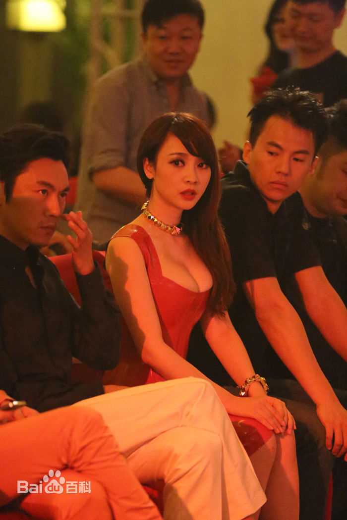 柳岩(Ada)的个人图册壁纸壁纸